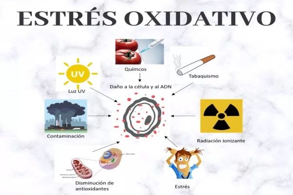 Estrés oxidativo