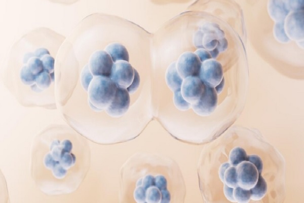 Imagen microscopica mostrando los exosomas